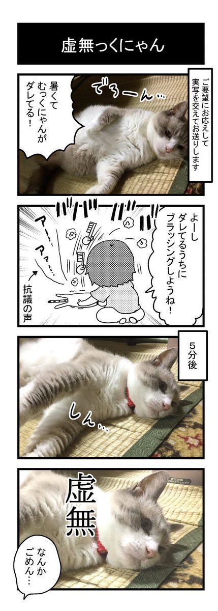 「猫は若くても年取っててもかわいい 世界猫の日 」野愛におし＠お仕事募集中の漫画