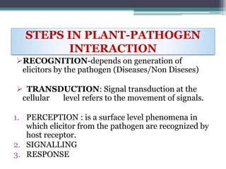 Host Pathogen Interaction Plants Ppt