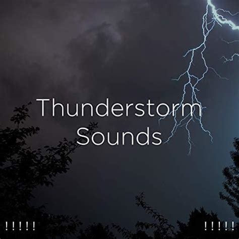 Thunderstorm Sounds By Sounds Of Nature Thunderstorm Rain