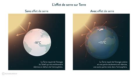 PDF les conditions de la vie une particularité de la terre controle PDF