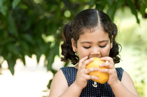 MANGO IS GOOD FOR KIDS' HEALTH - Mangoking.com.au