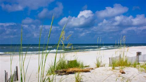 beach   single  state huffpost life