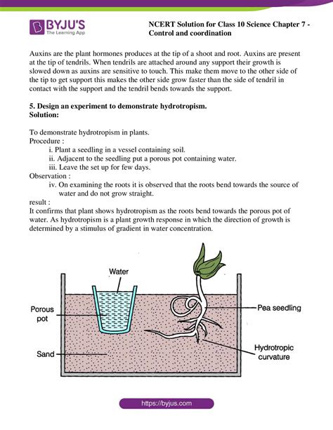 Ncert Solutions For Class 10 Science Chapter 7 Control And Coordination 2022