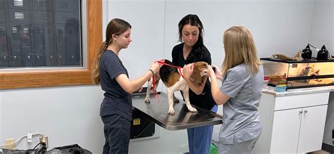 Veterinary Science | Southeastern Career Center