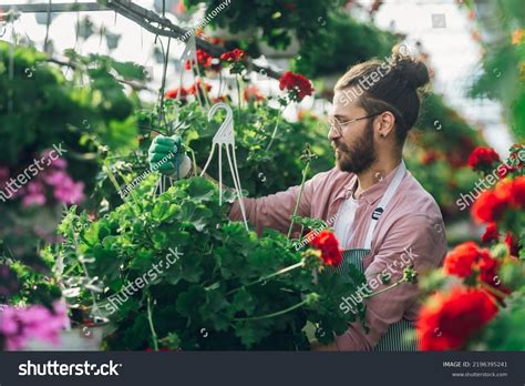 실내 화단 294270개가 넘는 로열티 프리 라이선스 대상 스톡 사진 Shutterstock