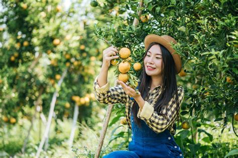 6 Peluang Bisnis Laundry Dengan Modal Kecil Namun Untung