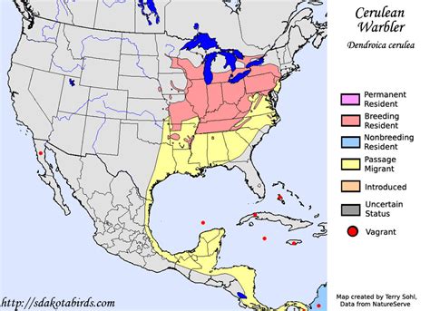 Cerulean Warbler - Species Range Map