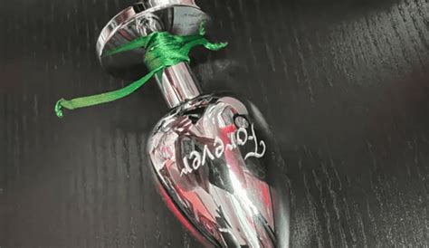 Juguete Sexual Una Mujer Fue Detenida Por Llevar Las Cenizas De Su Novio En Un Juguete Anal En