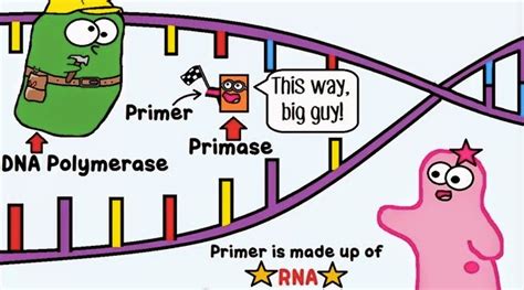 biology blog february