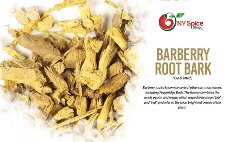 Ny Spice Shop Barberry Root Bark Herb 8 Ounce Berberis