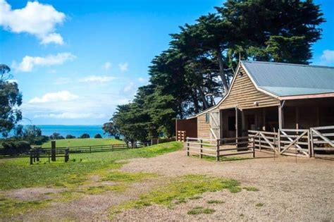 Phillip Island Attractions for Families - Thrifty Family Travels