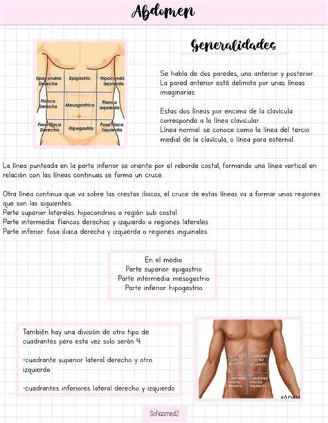 Abdomen Sofía García Udocz