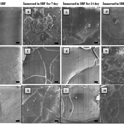 Sem Micrographs Of Rice Husk Ash Silica Based Glass Samples Surface