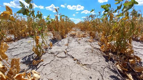 La Provincia Abri La Reinscripci N Para Productores Con Certificado De