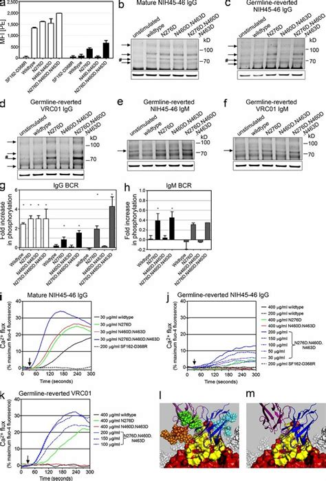 Removal Of N Linked Glycosylation Sites From The 426c Env Results In