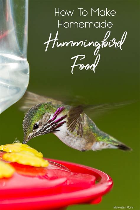 Hummingbird Homemade Food Recipe