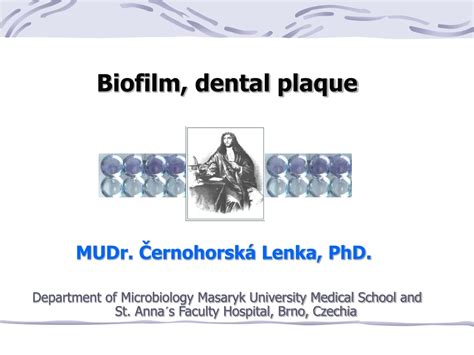 PPT - Biofilm, dental plaque PowerPoint Presentation, free download ...