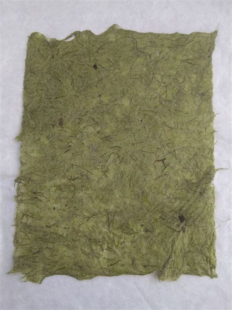 Lawn Grass Paper Handmade Paper Grass Paper Handmade Paper Etsy