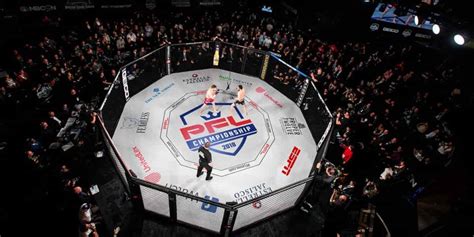 What Is PFL MMA A Quick And Easy Guide To PFL MMA MMA Channel