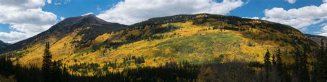 Leaves this weekend near St. Elmo, CO : r/Colorado