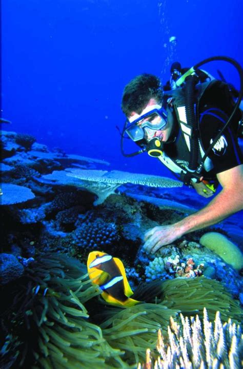 The Guide to Scuba Diving in Niue + Best Time to Dive 🤿 [2024]