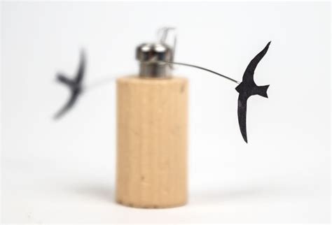 circling swifts rob ives