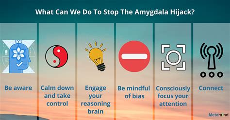 How Can We Stop An Amygdala Hijack?