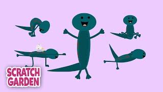 Salamander Yoga - Now with Tiny Flying Alligators! | 5-minute Yoga ...