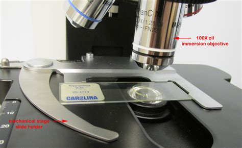 Biol 230 Lab Manual Introduction