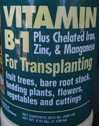 The Truth about Vitamin B1 for Plants