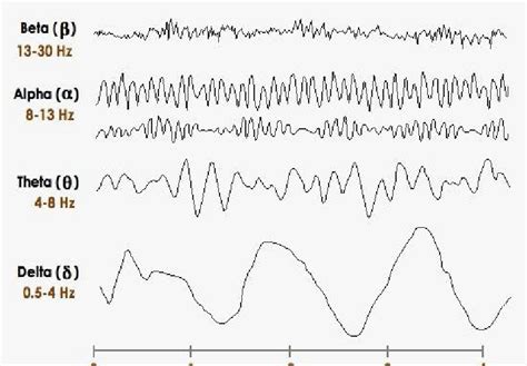 Brain wave frequency [7]. | Download Scientific Diagram