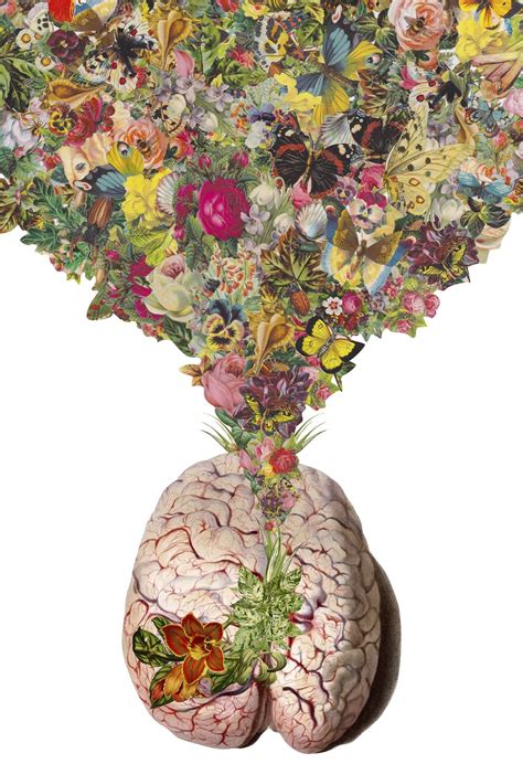 New Anatomical Collages By Travis Bedel Colossal Brain Art Collage