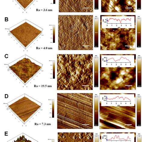 AFM Images 3D Height Amplitude ZSensor With Line Profile Of A