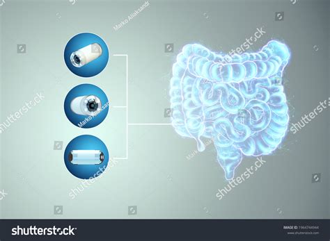 Endoscopy Capsule Images Browse Stock Photos Vectors Free