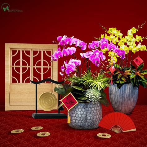 trung thu la ngay gi va  nghia tet trung thu