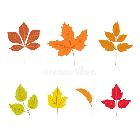 Autumn Leaves Set Isolated On White Background Stock Vector