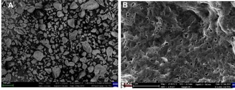 Sem Pictures Of A Gk Showing Irregular Particle Sizes And B Ac Gk