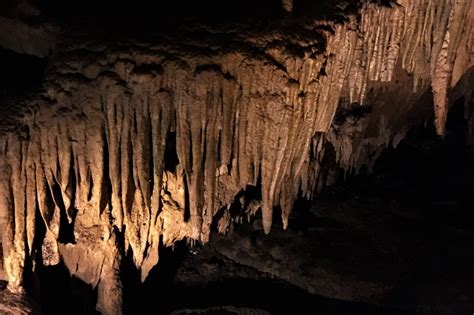 Tips for touring Mammoth Cave National Park - Tips for Family Trips