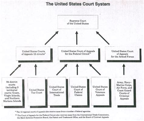 Federal Court System Structure Diagram