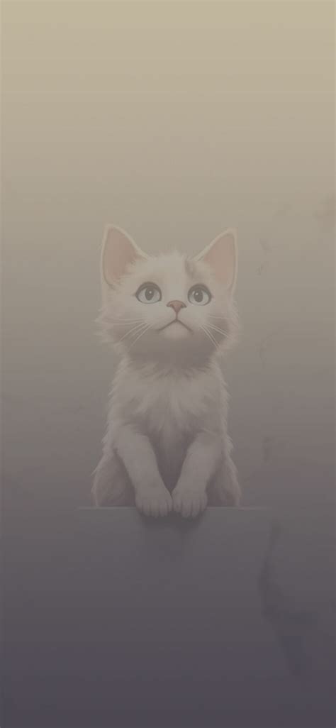 Cute White Cat Grey Wallpapers - Free Cute Kitty Wallpapers HD