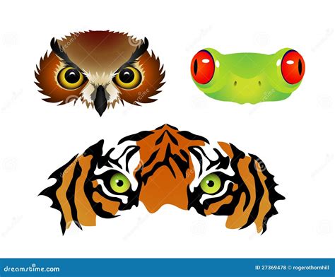 Cute Cartoon Animal Eyes