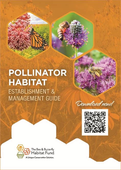 New Guide Outlines Step By Step Direction On Planting For Pollinators