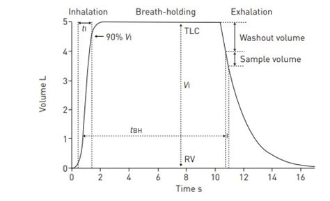 Diffusing Capacity And Its Measurement Deranged Physiology