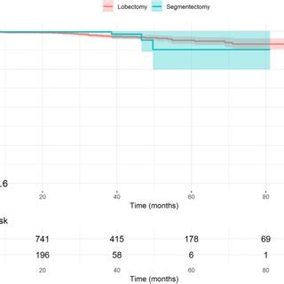 Overall Survival In Lobectomy Group And Segmentectomy Group After