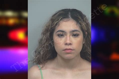 Ashley Vasquez — Gwinnett County Jail Bookings