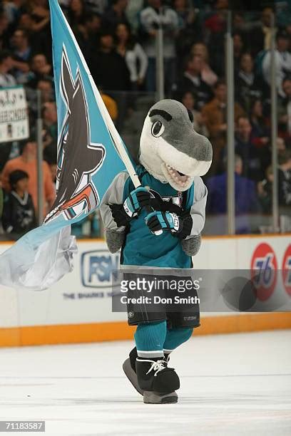 887 San Jose Sharks Mascot Photos & High Res Pictures - Getty Images