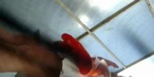 Gal In Beach Cabin Bares Off Nub And Puts Bikini On Up Skirt Tnaflix