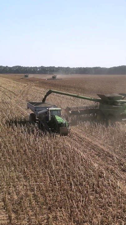 John Deere Harvesting Sunflower🌻 Youtube