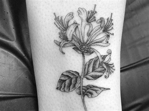 Vine Tattoo Ideas 47 To Represent Thriving Surviving Tattooglee