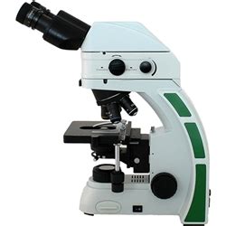 Fluorescence Microscopy